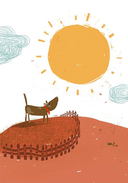 Die Sonne, Garten, Hund, Zaun